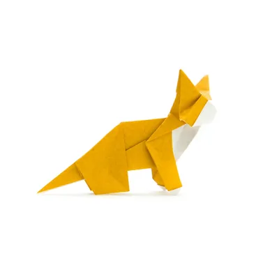 Cat – Origami Database