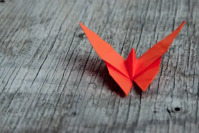 Origami: Learn The Japanese Art of Paper Folding | EJable