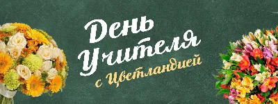 День учителя 2021 - поздравления с юмором, приколы и шутки - Апостроф