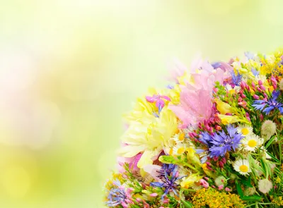Искусственные цветы высокого качества, 3 головки пиона, искусственные цветы  из ткани, свадебные цветы, бесплатная доставка | AliExpress