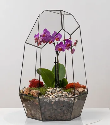 Орхидея Ванда фиолетовая искусственная H60 см (арт. 8EE426271) - купить за  5 660 ₽ в интернет-магазине Гарден Гров