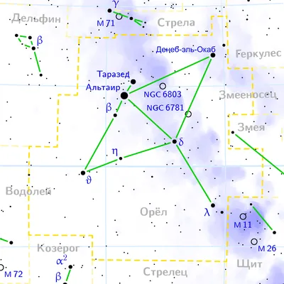 Гнездо редкого степного орла обнаружено в Хакасском заповеднике | Русское  географическое общество