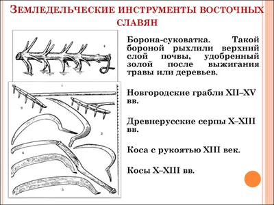 Презентация по истории на тему \"Восточнославянские племена и их соседи\"