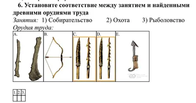 6. Установите соответствие между занятием и найденными древними орудиями  труда - Школьные Знания.com