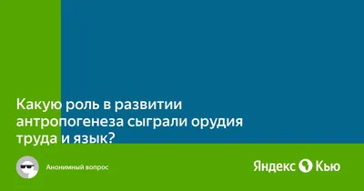 3-я неделя августа \"Орудия труда, инструменты\" -