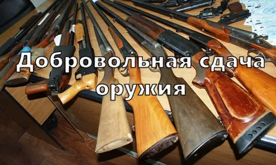 Россиянам разрешили при наличии лицензии носить гражданское оружие в целях  самообороны - ТАСС