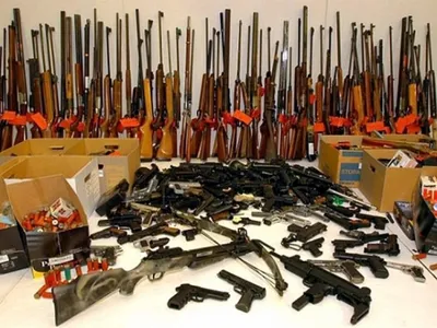 Росгвардия изъяла в Купчино более 20 единиц оружия