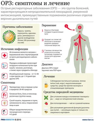 Симптомы и лечение ОРЗ - РИА Новости, 10.02.2011