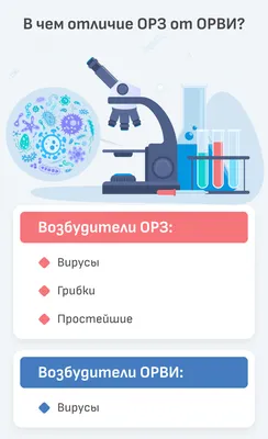 Профилактика гриппа и ОРВИ – лучше избежать, чем лечить - статьи от  компании Еламед