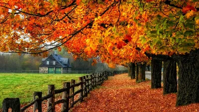 Individual beauty and style#3 . Autumn. Color types theory (12 seasons) —  Steemit