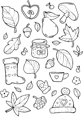 Посмотрите на Листья Осенний цвет листьев, Лист, белый, еда png | PNGEgg