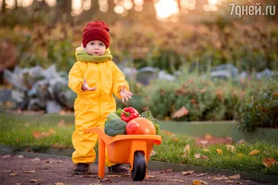 Про осень детям 5-6 лет | Дети, Загадки, Для детей