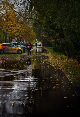 Вечерний Сыктывкар / Осенний дождь в Сыктывкаре