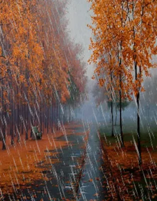 Дождливая осень картинки - 80 фото