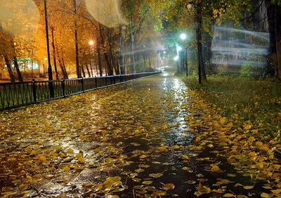 Дождь в окно... - Пряжа турецкая,итальянская в Кишиневе | Facebook
