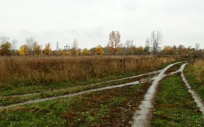 Осенний дождь на реке с пожелтевшими берёзами. Россия, Сибирь,  Новосибирская область, река Раздельная фотография Stock | Adobe Stock