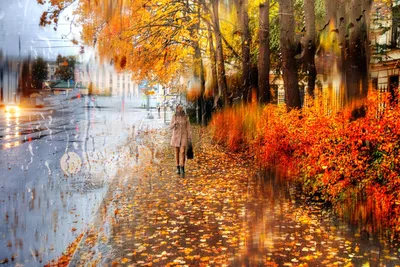 Осень дождь грусть (60 фото) - 60 фото
