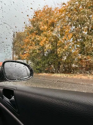 Осень, дождь, улица, листья.