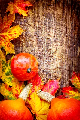 Природа Обои Hd Осень - Бесплатное фото на Pixabay - Pixabay
