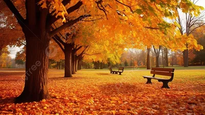 Вертикальный фон осени с листьями-листьями на деревянных досках Стоковое  Изображение - изображение насчитывающей природа, падение: 163733081