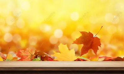 Фон осени с несколькими цветными листьями Стоковое Фото - изображение  насчитывающей клен, цвет: 159215058