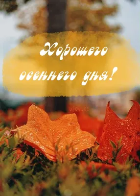 Хорошего Осеннего Дня! ~ Открытка (плейкаст)
