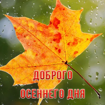 Пин от пользователя Рашида Исангулова на доске добрый день | Живописные  пейзажи, Осенние картинки, Счастливые картинки