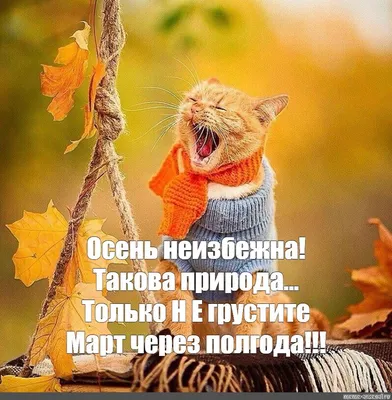 Мем: \"Осень неизбежна! Такова природа… Только Н Е грустите Март через  полгода!!!\" | Смешные детские цитаты, Смешные детские картинки, Смешные  открытки