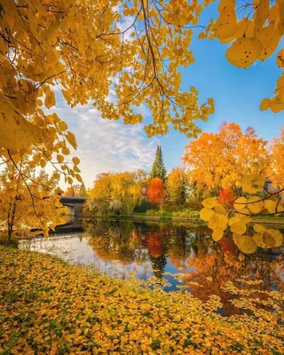 Фото Лучи света Листва Осень Природа Времена года 4200x2800