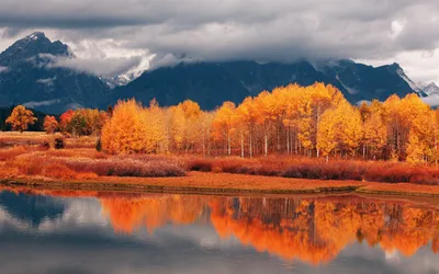 осень на природе обои фото листьев и травы, осень, деревья, листья фон  картинки и Фото для бесплатной загрузки