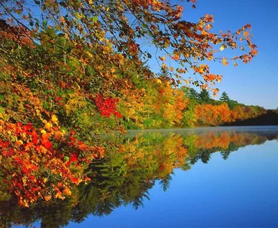 Золотая осень природа (58 фото) - 58 фото