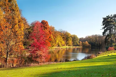 Самая Красивая Природа Осенью под Музыку Саксафона /Краски Осени - YouTube