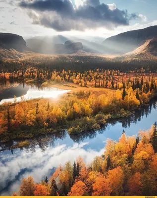 Фотография Осень Природа Небо облачно деревьев