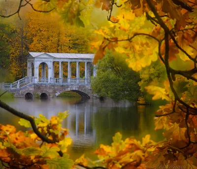 Альбомная осень Прекрасная романтическая аллея в парке с цветными  деревьями, Сценарийное изображение сказочных лесов на залитой с Стоковое  Фото - изображение насчитывающей падение, напольно: 148559476