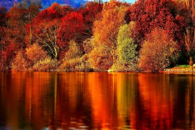 Осень: самые красивые фотографии со всего мира - Turist
