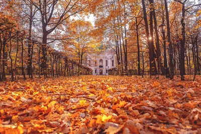 Где самая красивая осень на Земле: топ 10 мест - Вокруг Света - Досуг и  отдых - MEN's LIFE