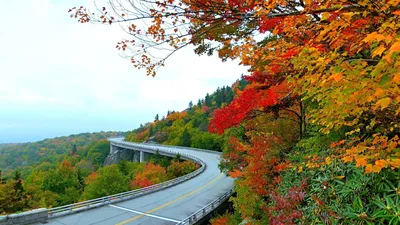 Картинки горы, деревья, дороги, мосты, небо, осень, природа, широкоформатные  - обои 1920x1080, картинка №134715