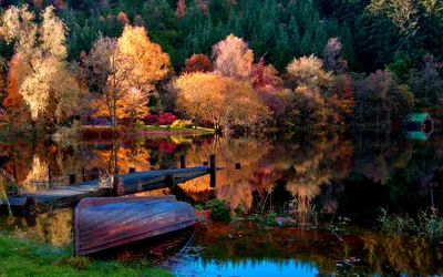 Скачать обои осень, лес, трава, листья, пейзаж, природа, озеро, лодка,  раздел пейзажи в разрешении 2560x1600