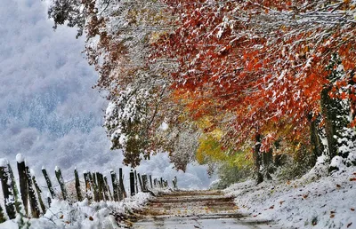 Осенний снег (54 фото) - 54 фото