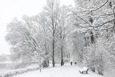 Во Владимирской области скоро выпадет первый снег и наступят холода