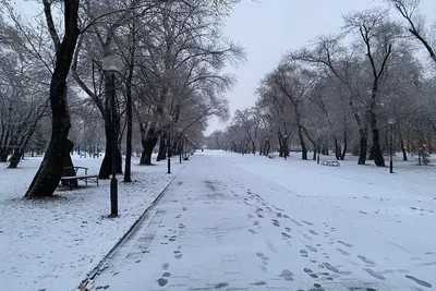 Первый снег | Пикабу