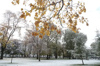 В России выпал первый снег: Край: Среда обитания: Lenta.ru