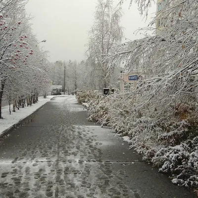 Первый Снег: последние новости на сегодня, самые свежие сведения | НГС24.ру  - новости Красноярска