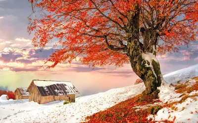 Первый снег в октябре. Красивые краски осени 🍁🍃🍂 | Интересное рядом.  Заметки из путешествий. 🌐 | Дзен