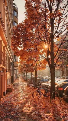 Осенний город обои - 70 фото