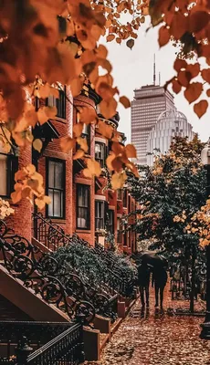 Осень в городе - 71 фото
