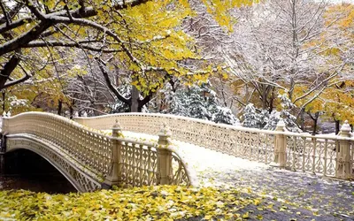 Поздняя осень в городе, первый снег на мосту - обои на телефон
