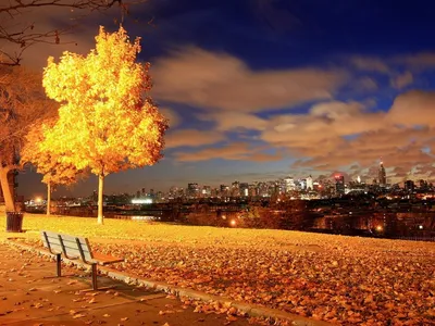 Обои Бруклин, город, дома, тротуар, осень, деревья, листья, дождь, США  1920x1440 HD Изображение