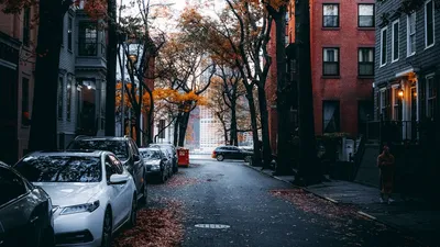 Обои улица, город, осень, автомобили, деревья картинки на рабочий стол,  фото скачать бесплатно