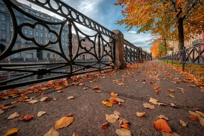 Обои на рабочий стол Осень в Центральном парке, New York / Нью-Йорка.  Фотограф John S, обои для рабочего стола, скачать обои, обои бесплатно